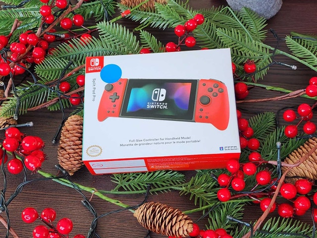 Nintendo Switch Split Pad Pro