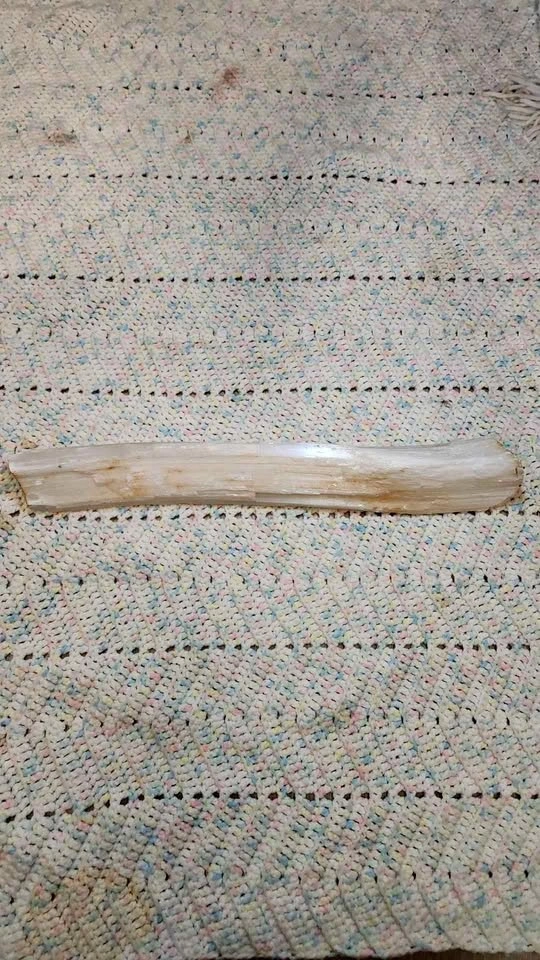 Selenite Crystal Log