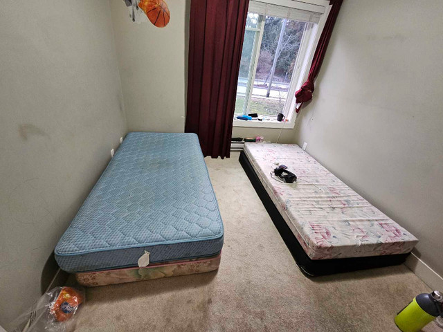 Private room available in 4 bed 3.5 bath house