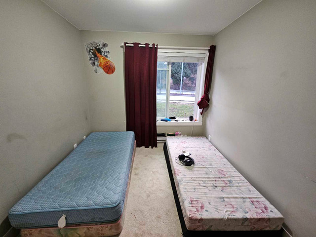 Private room available in 4 bed 3.5 bath house - photo 3