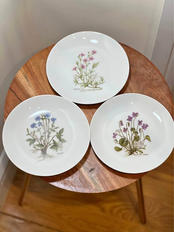 Vintage J.K.W. Germany Botanical Plates - Set of 3