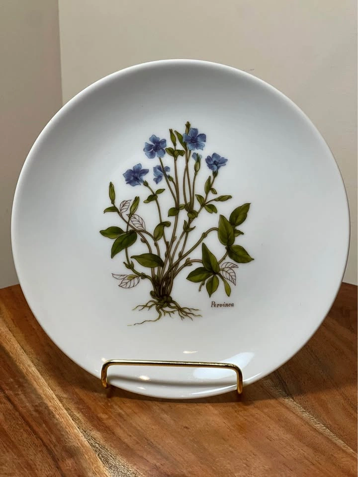 Vintage J.K.W. Germany Botanical Plates - Set of 3 - photo 2