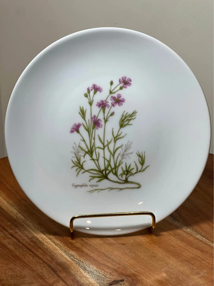 Vintage J.K.W. Germany Botanical Plates - Set of 3 - photo 4