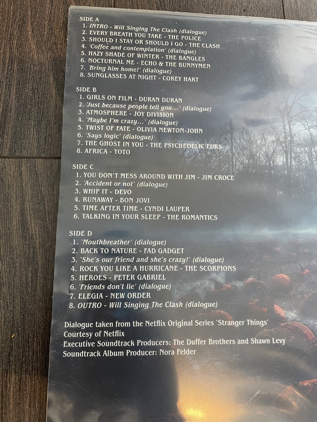 Stranger Things Vinyl - photo 3