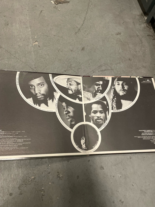 Mandrill Composite Truth Vinyl Record LP - photo 2