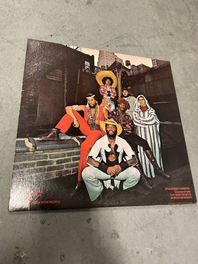 Mandrill Composite Truth Vinyl Record LP - photo 3