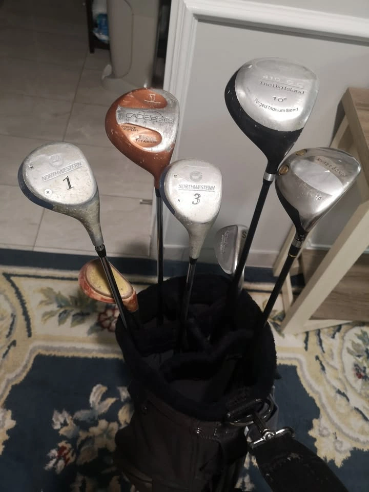 Vintage Golf Clubs with Bag
