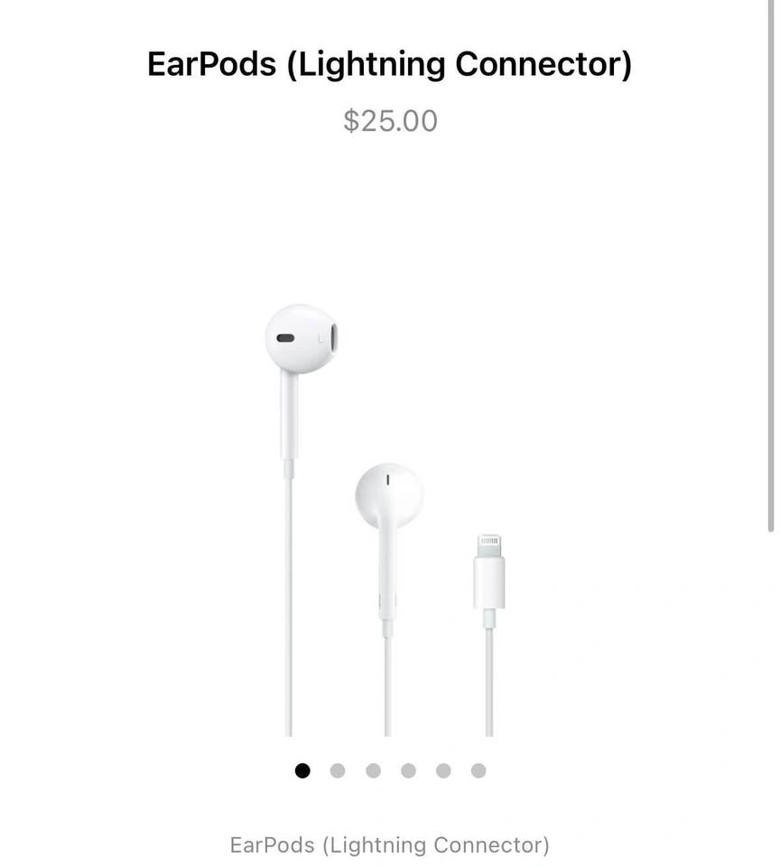 Apple Earphones - Lightning Port
