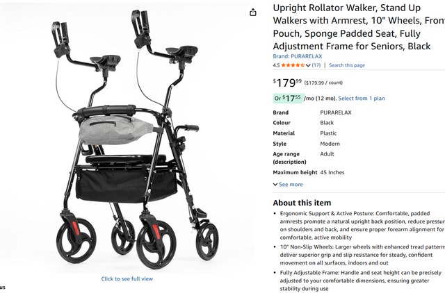 Upright Rollator Walker with Armrests – 10" Wheels, Padded Seat - photo 2