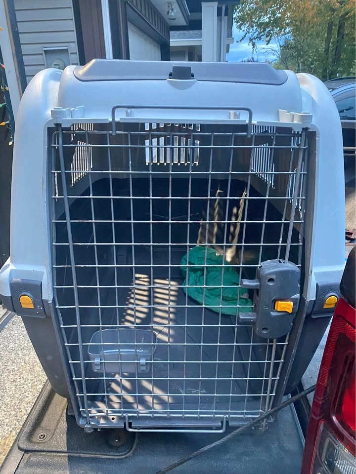 Skudo Pet Carrier - Barely Used