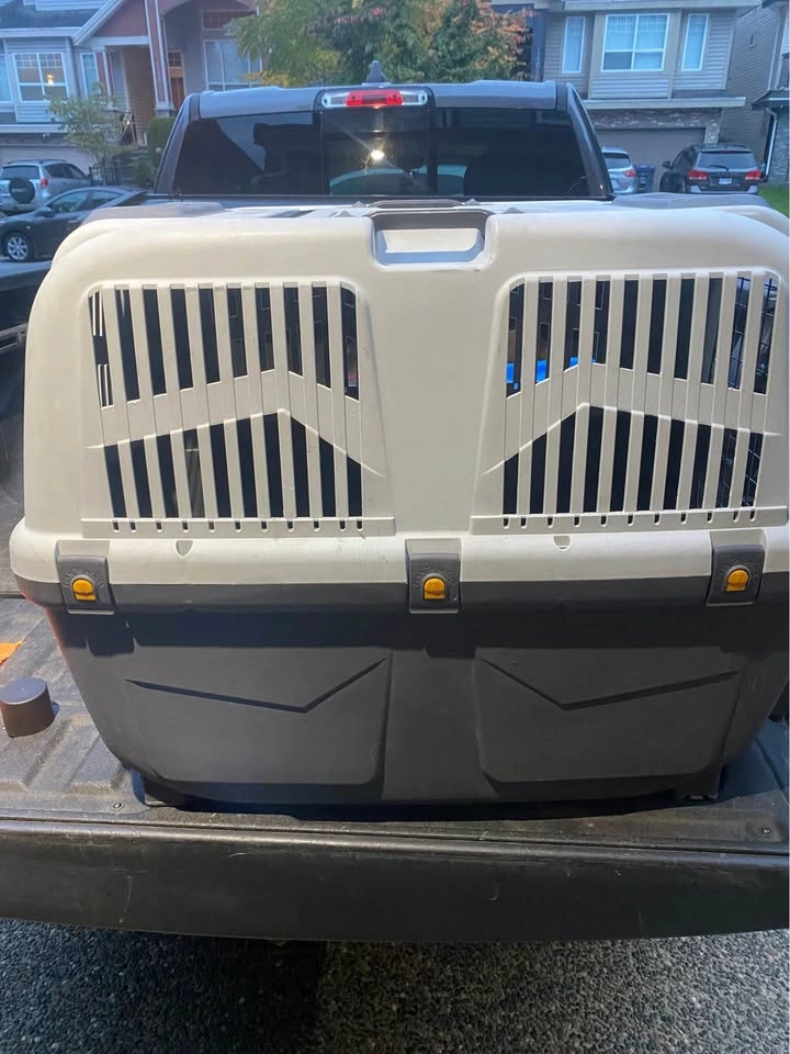 Skudo Pet Carrier - Barely Used - photo 4