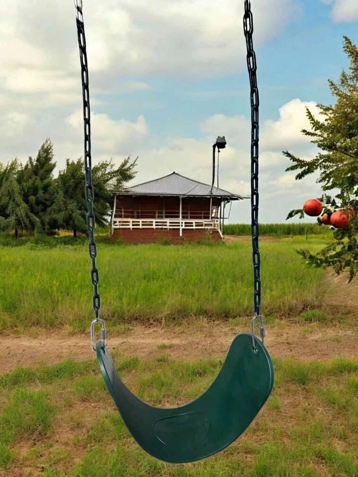 Heavy Duty Green Belt Swing - 220 lbs Capacity