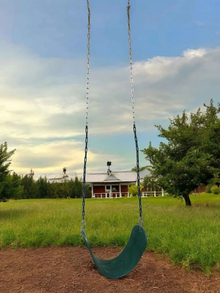 Heavy Duty Green Belt Swing - 220 lbs Capacity - photo 3