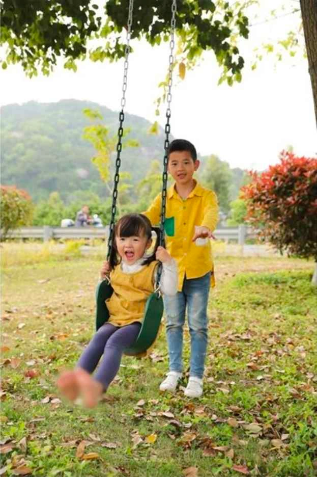 Heavy Duty Green Belt Swing - 220 lbs Capacity - photo 4
