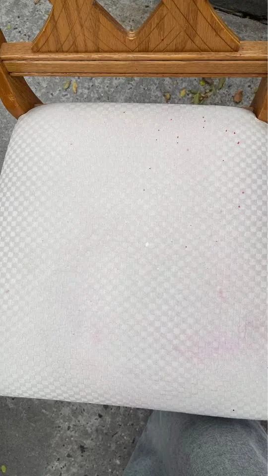 6 Solid wooden dining chairs image indicator(8)