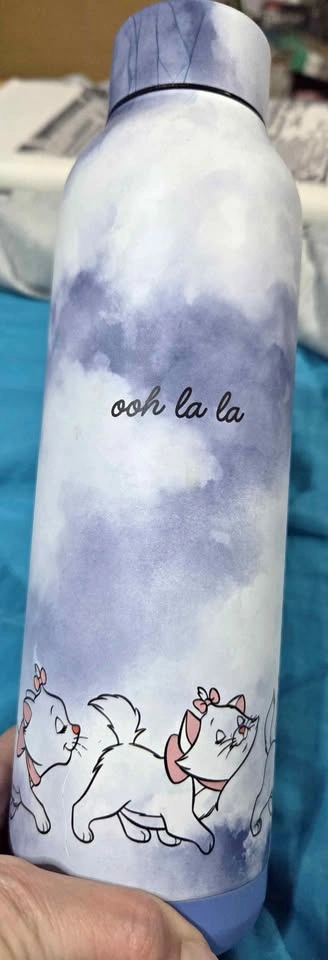 Disney Aristocats Metal Water Bottle