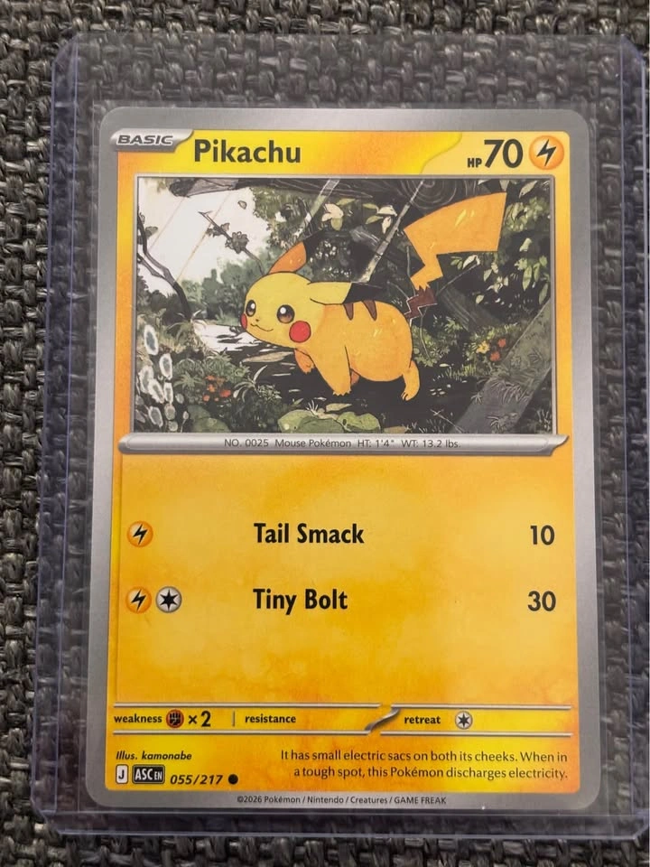 Mint Pikachu Bundle (2004 - 2026) ✨ - photo 4