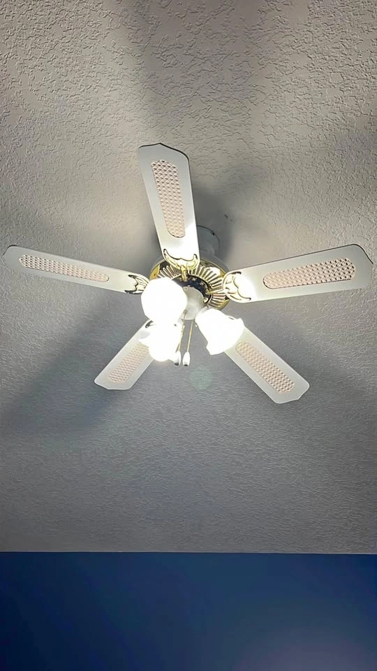 Fan with 3 Light Shades (Gold Rimmed, 5 Blades)