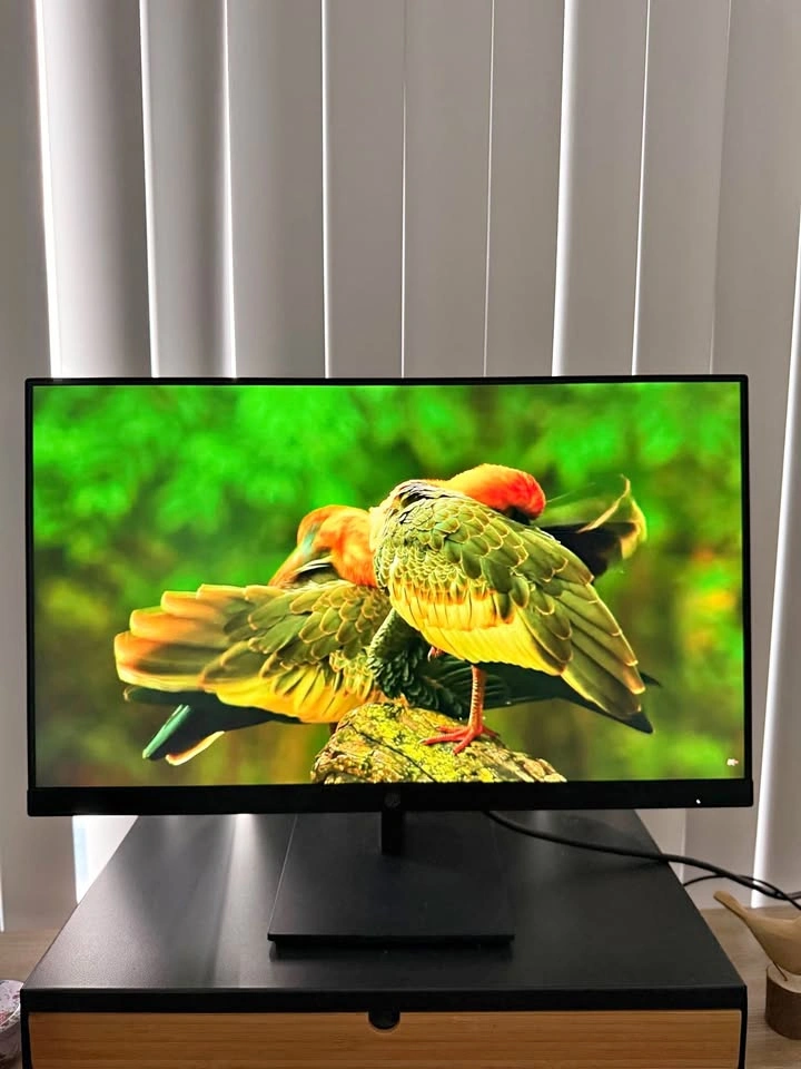 HP 23.8” Full HD Monitor – NEW