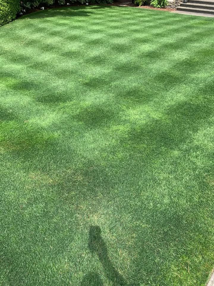 Reel Lawn Mower - photo 2