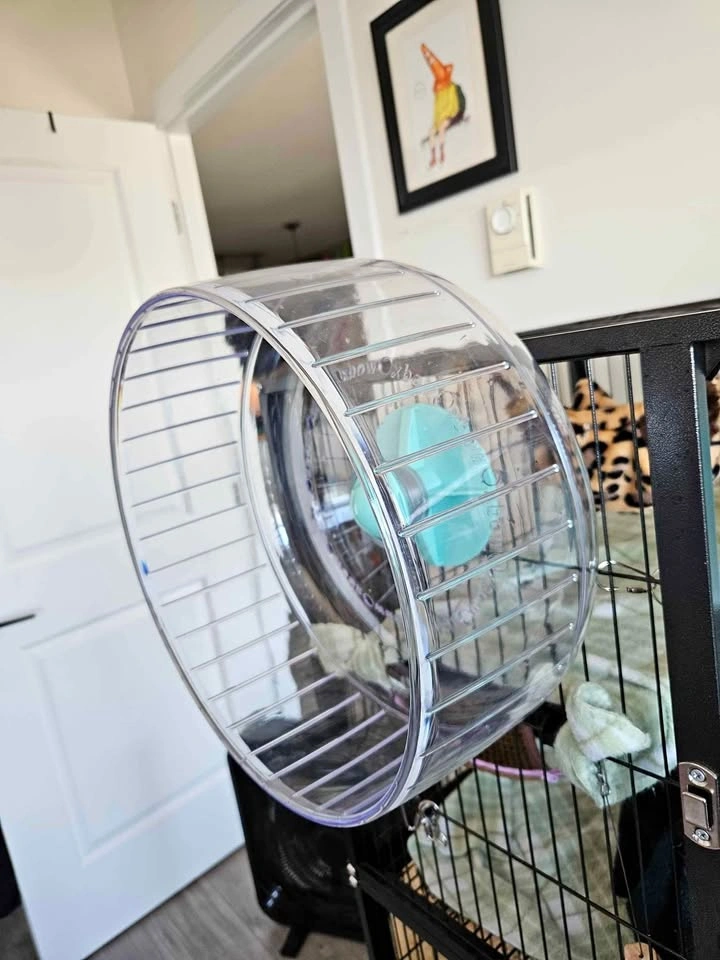 Rat/Mice/Hamster Wheel with Freestanding Bar