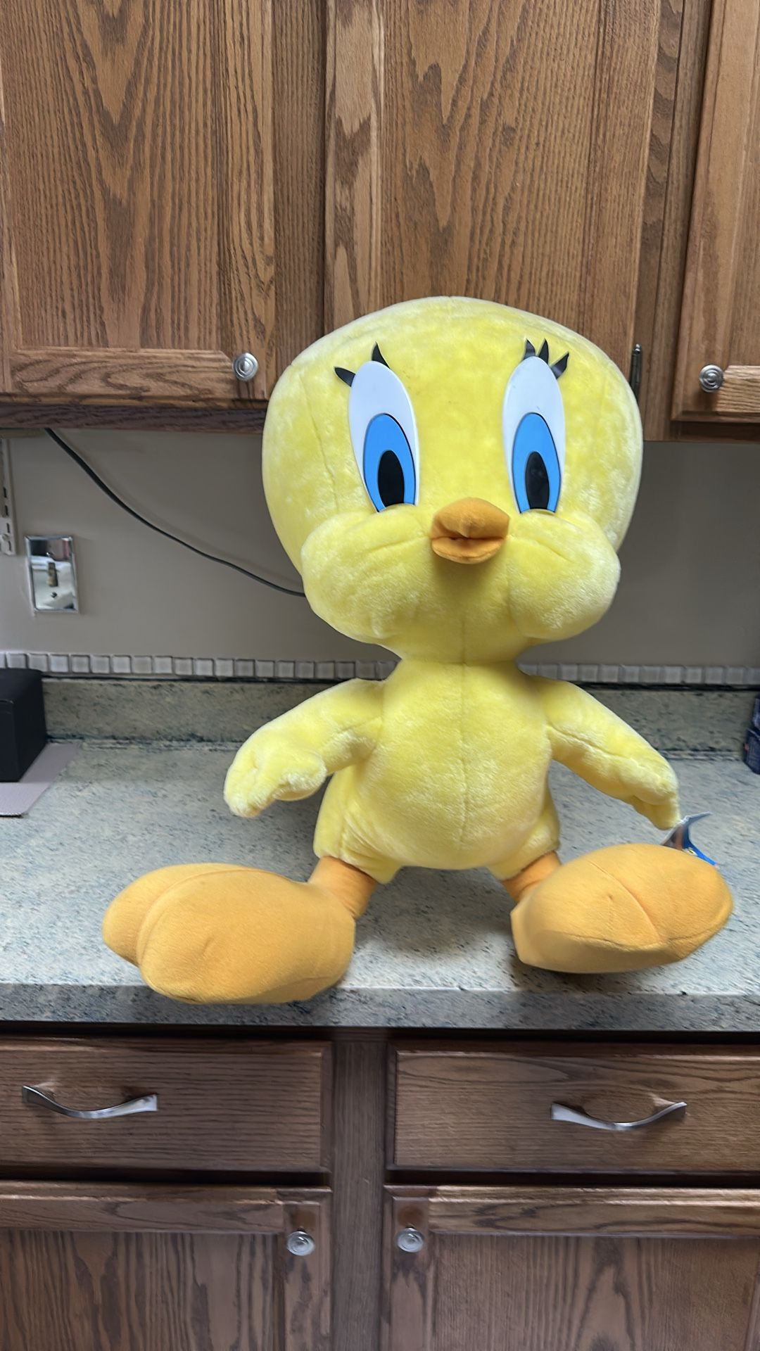 Tweety toy