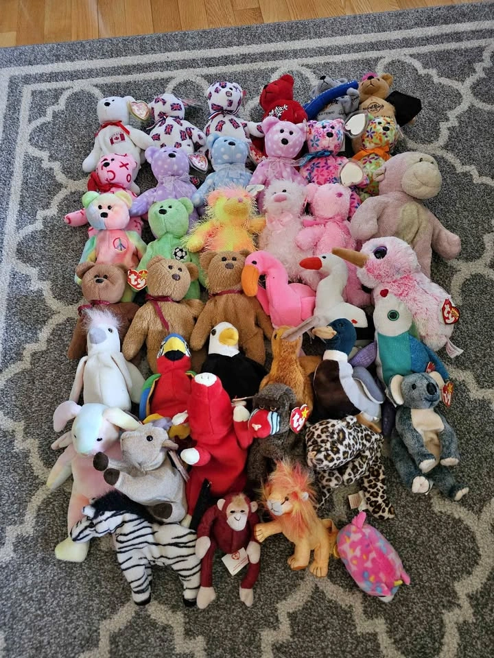 Large Lot of 40 Beenie Babies