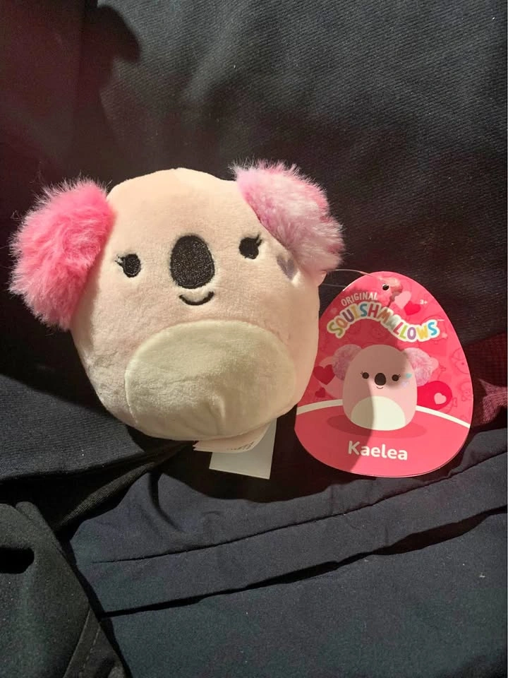 Kaelea the Koala Squishmallows 3.5 Inch