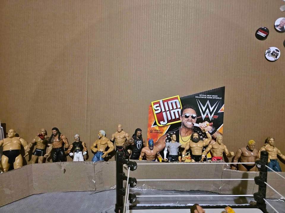 WWE Mattel/Jakks Figures