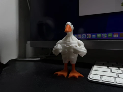 3D Printed Muscle Duck Figurine PLA Free Stand