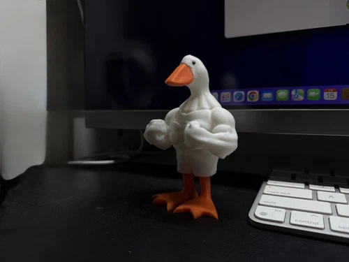 3D Printed Muscle Duck Figurine PLA Free Stand - photo 2