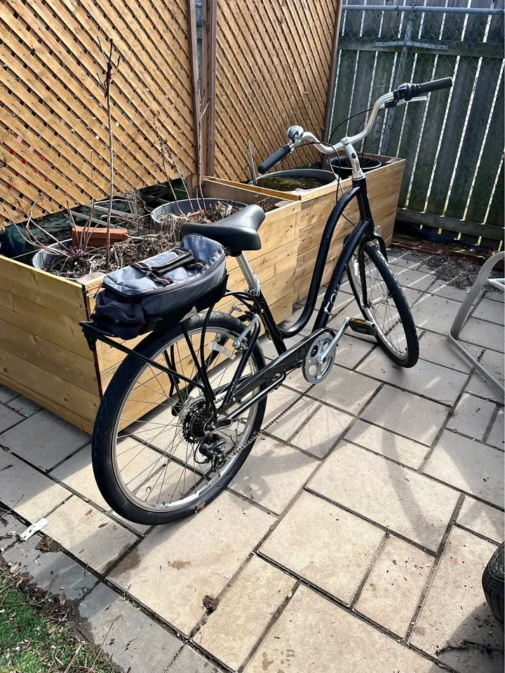 Women's Electra Townie 7 Speed Bike