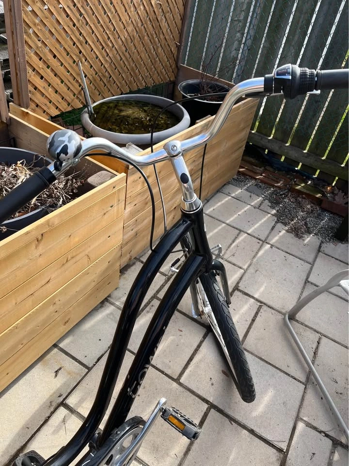 Women's Electra Townie 7 Speed Bike - photo 3