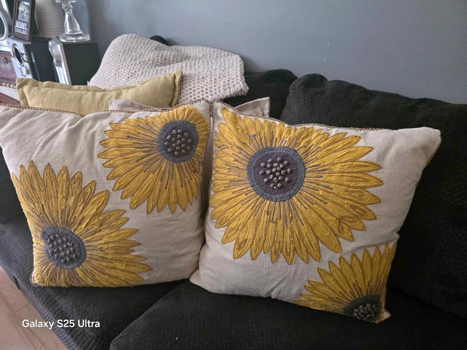 2 Couch Cushions