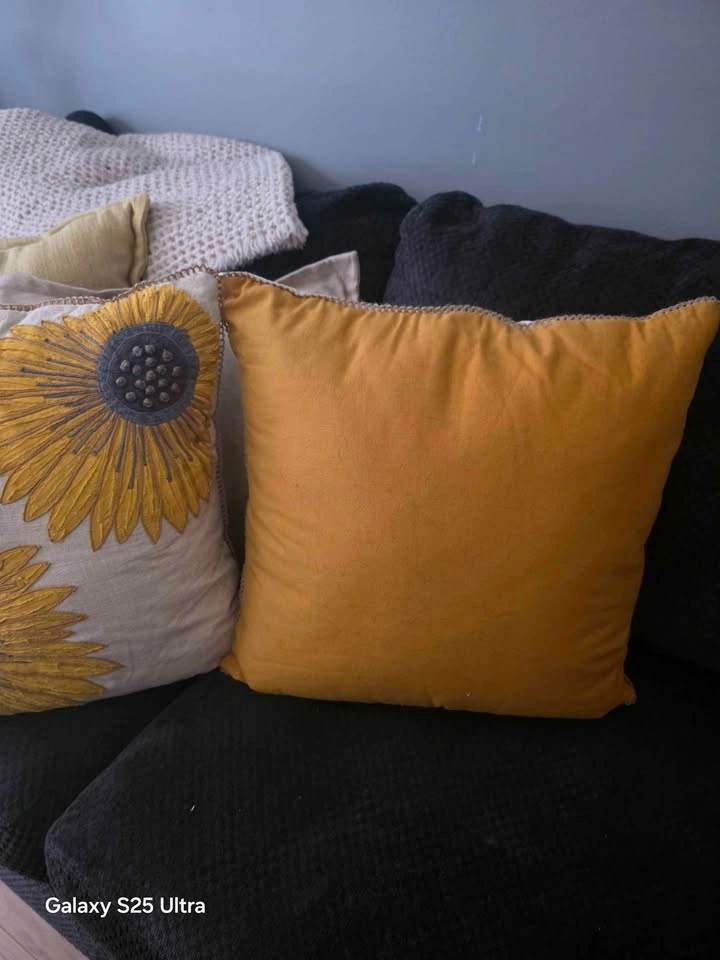 2 Couch Cushions - photo 2