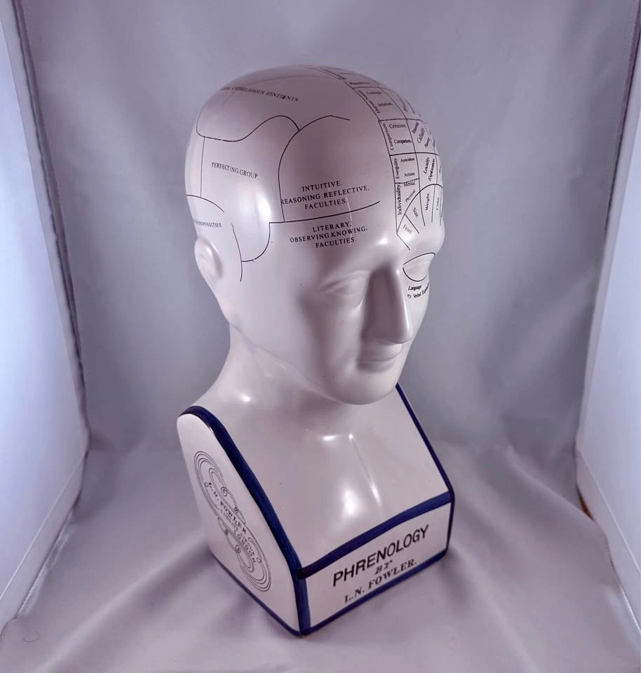 Phrenology Bust - $20, LIKE NEW
