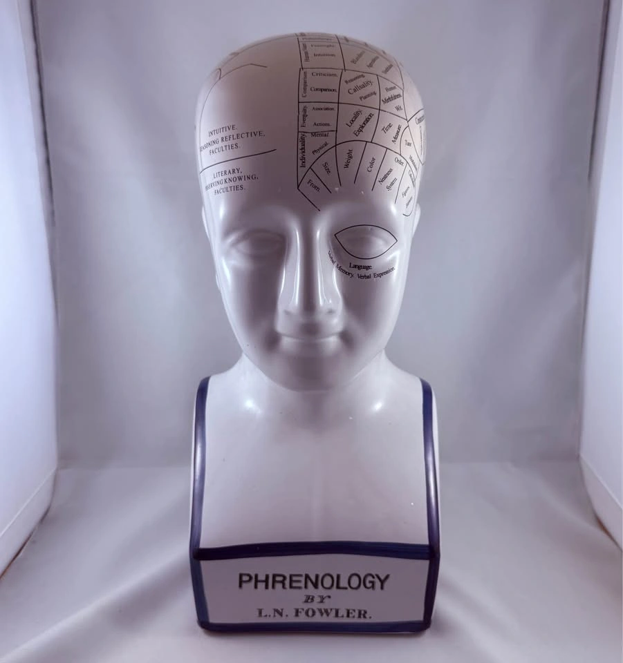 Phrenology Bust - $20, LIKE NEW - photo 2
