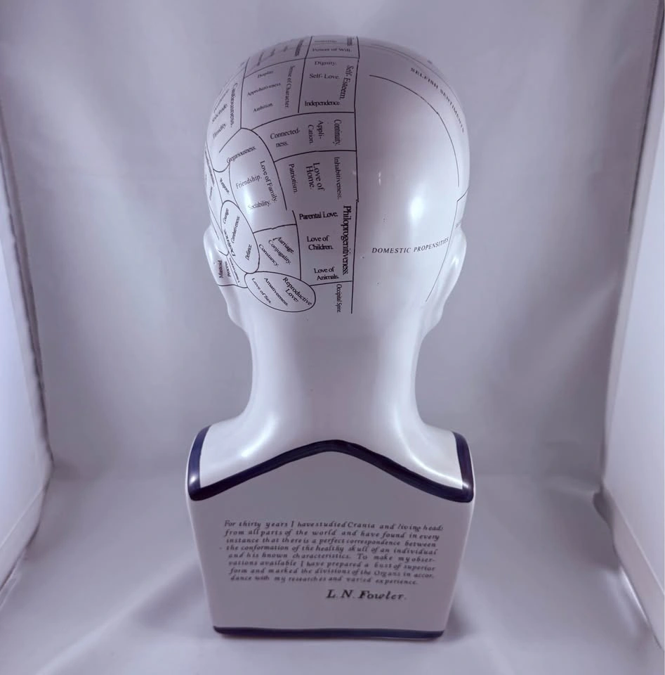 Phrenology Bust - $20, LIKE NEW - photo 3