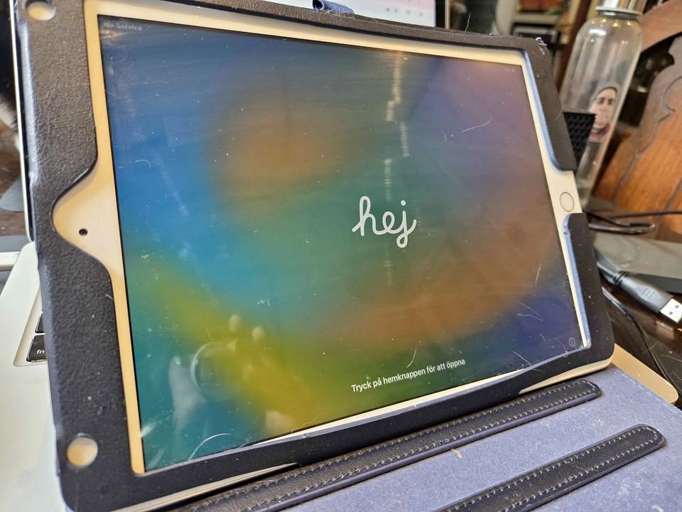 iPad 5th Gen w/ case