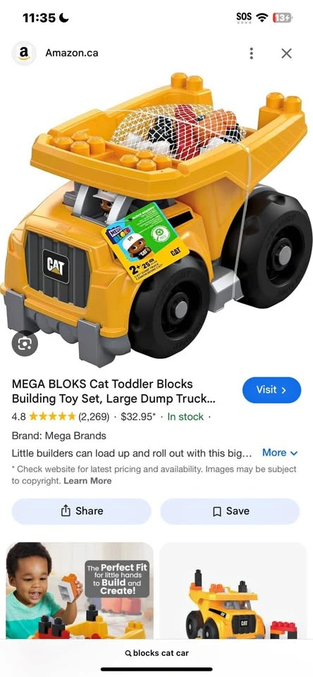 Lego Bin with Blocks and Car