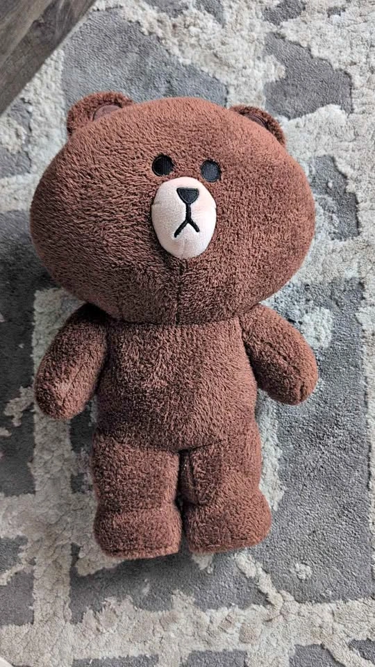 Brown LINE FRIENDS Teddy Bear 14"
