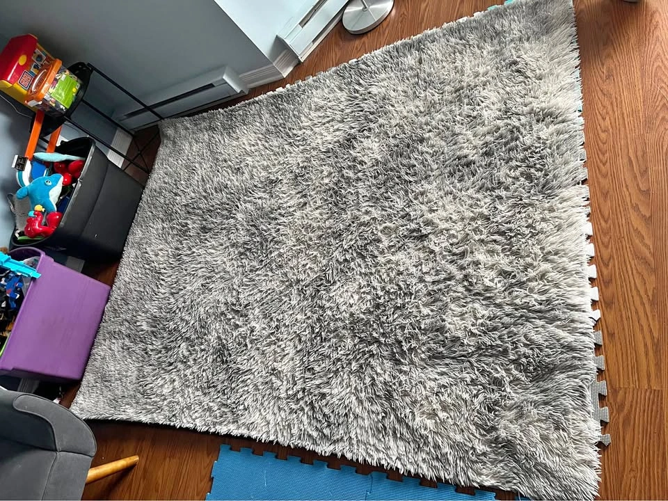 Shag Rug