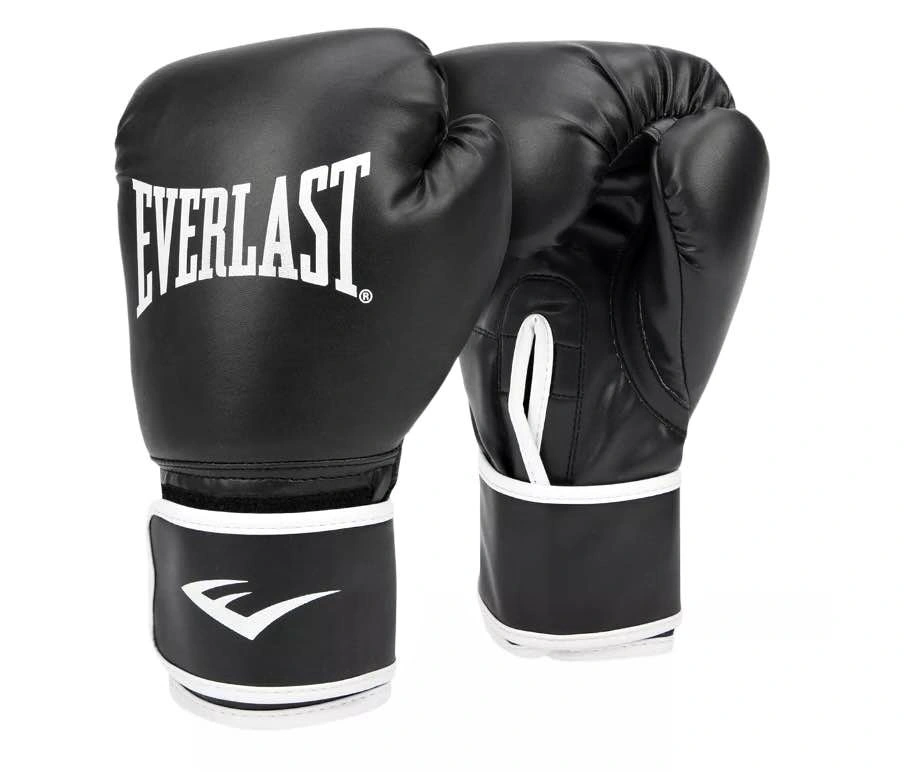 Brand new Everlast boxing gloves
