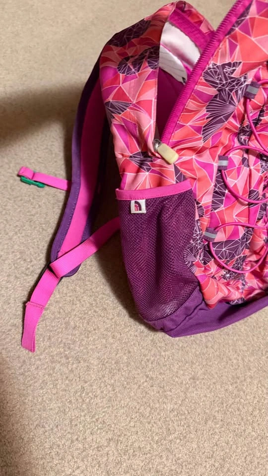 The North Face Backpack - photo 2