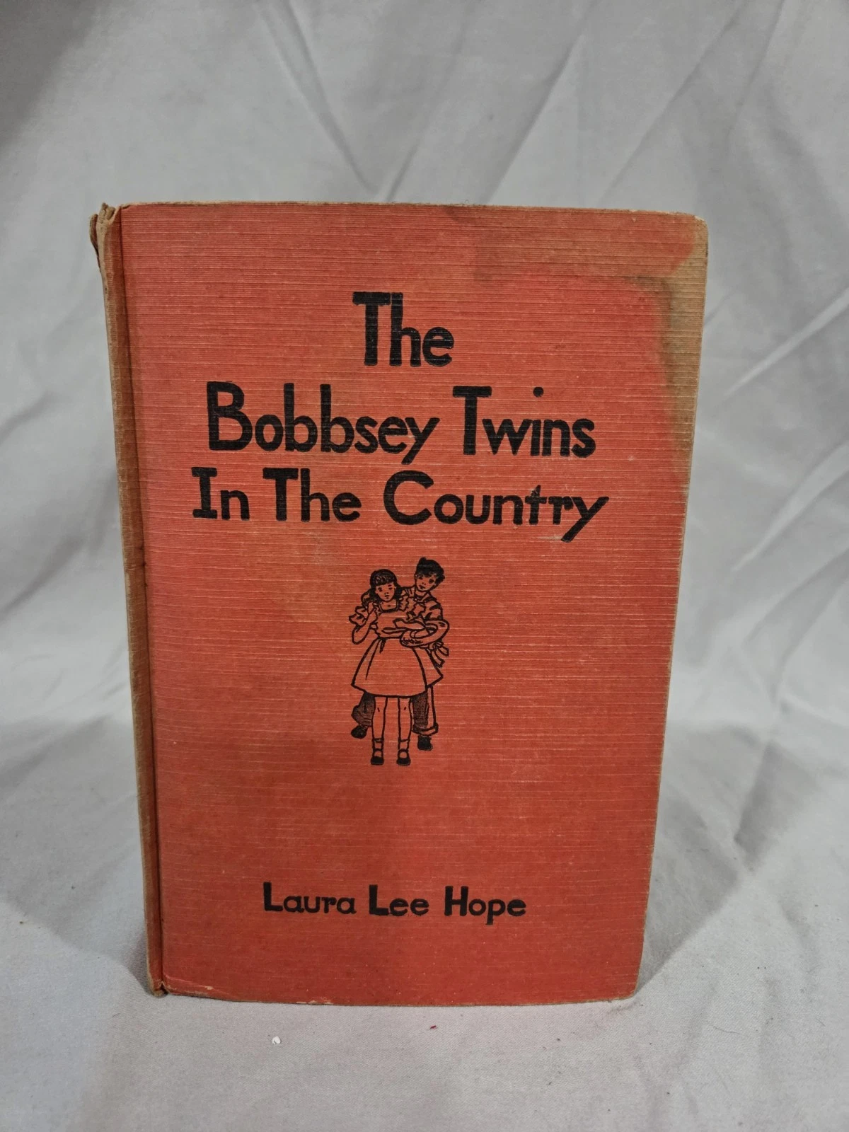 Vintage 1940's Bobbsey Twins In The Country