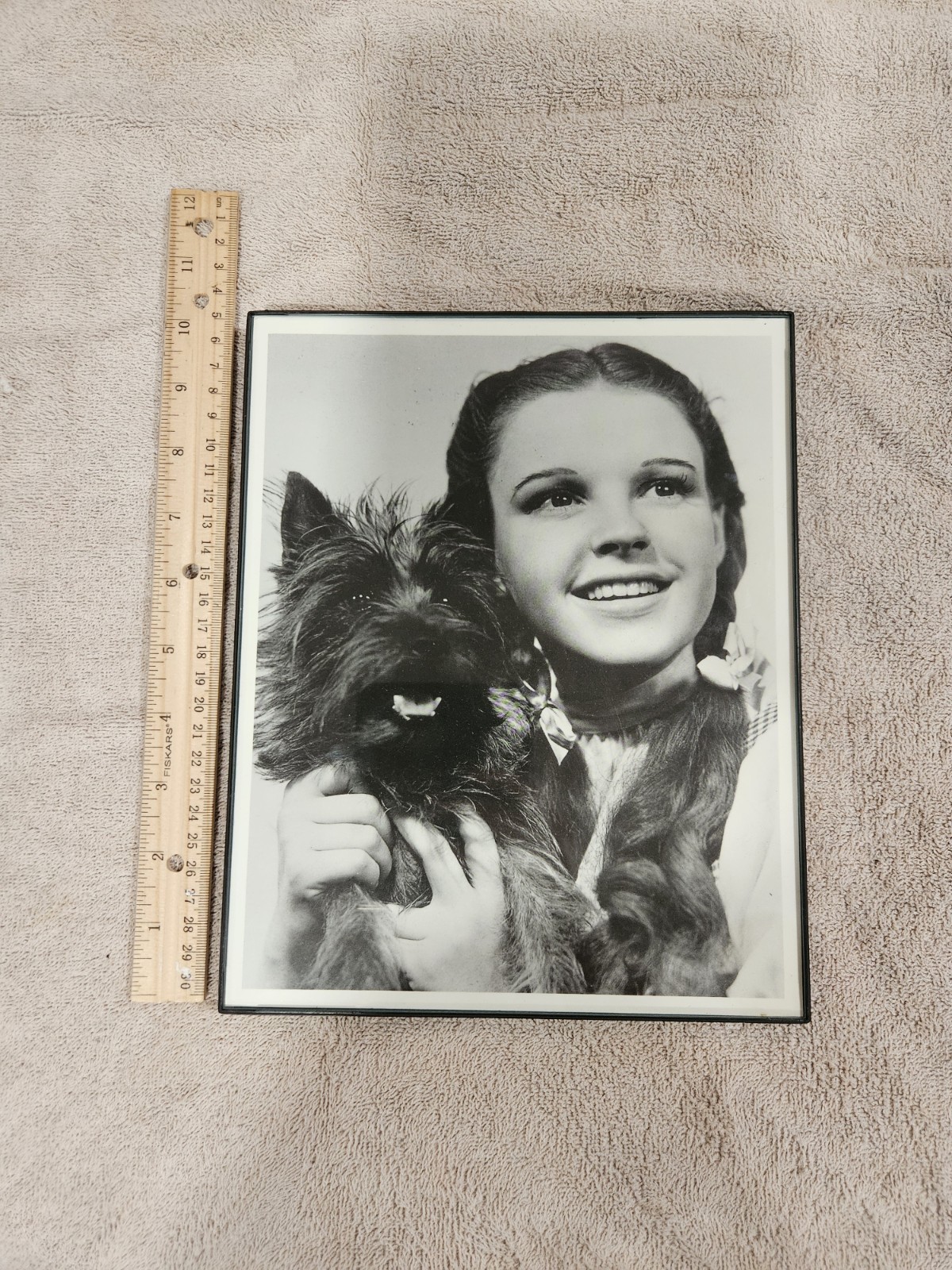 Wizard of the Oz Framed Prints - photo 3