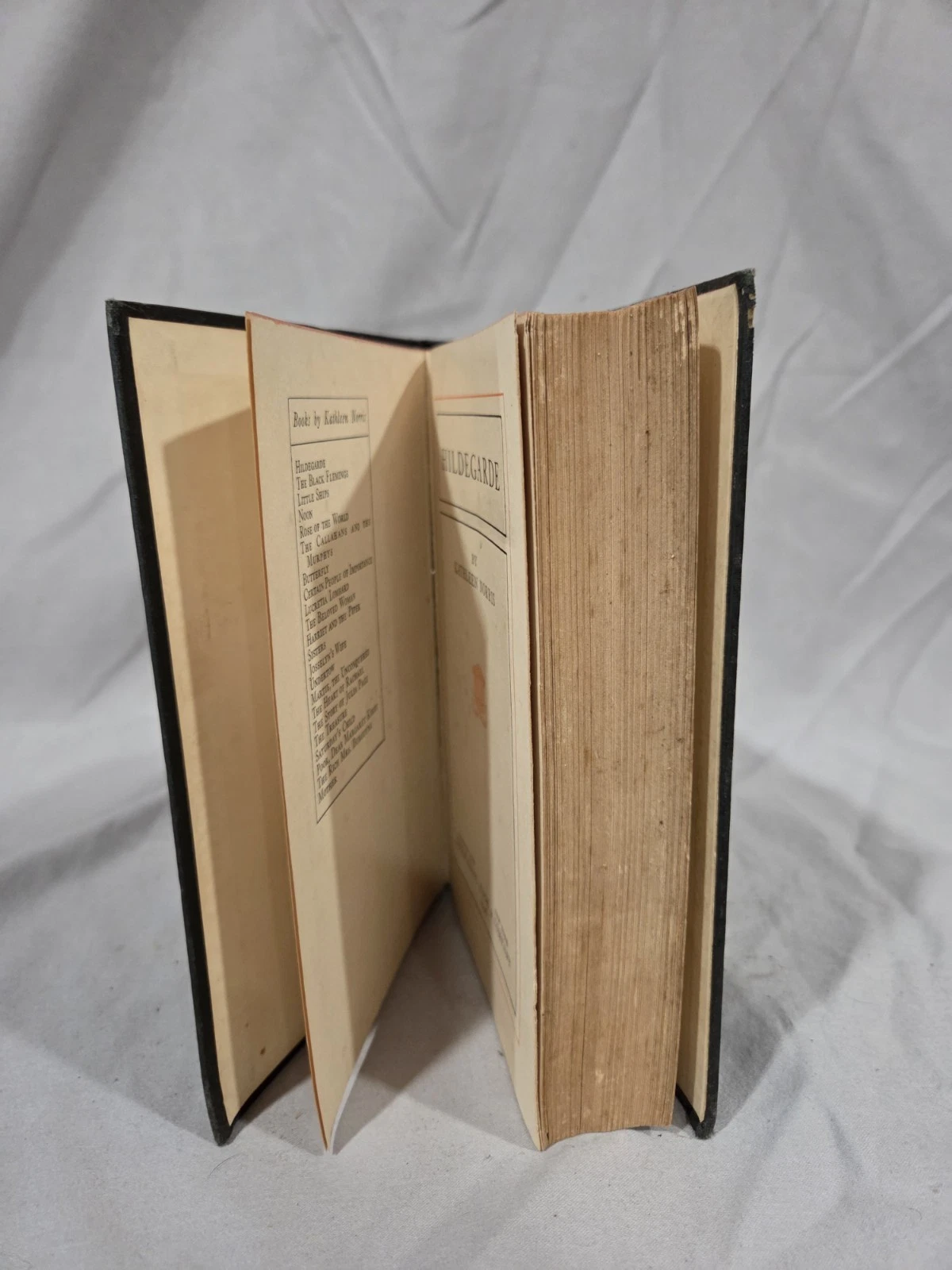 Vintage Hardcover Hildegarde By Kathleen Norris - photo 4