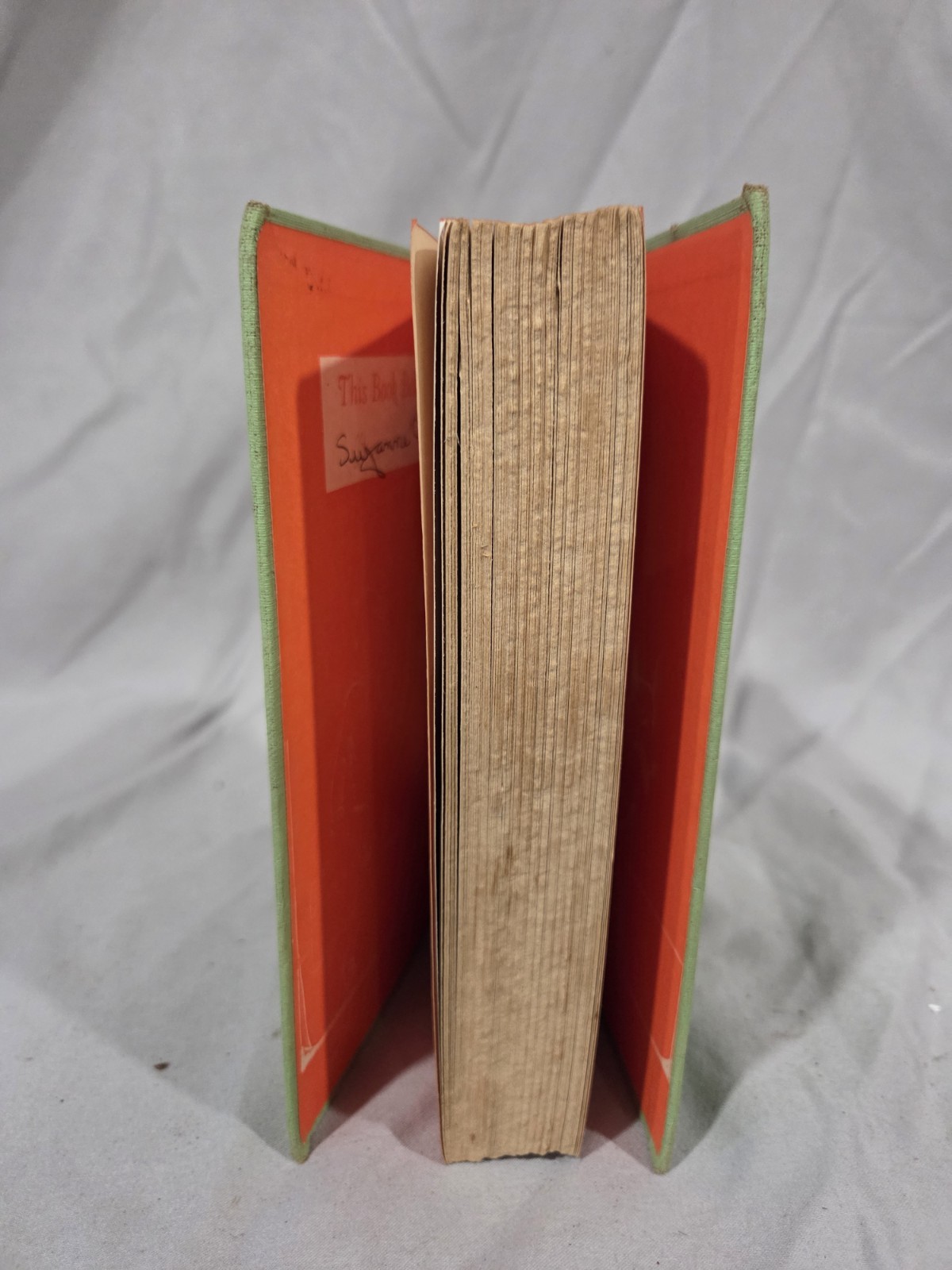 The Bobbsey Twins In Washington by Laura Lee Hope HC 1919 Antiqu - photo 4