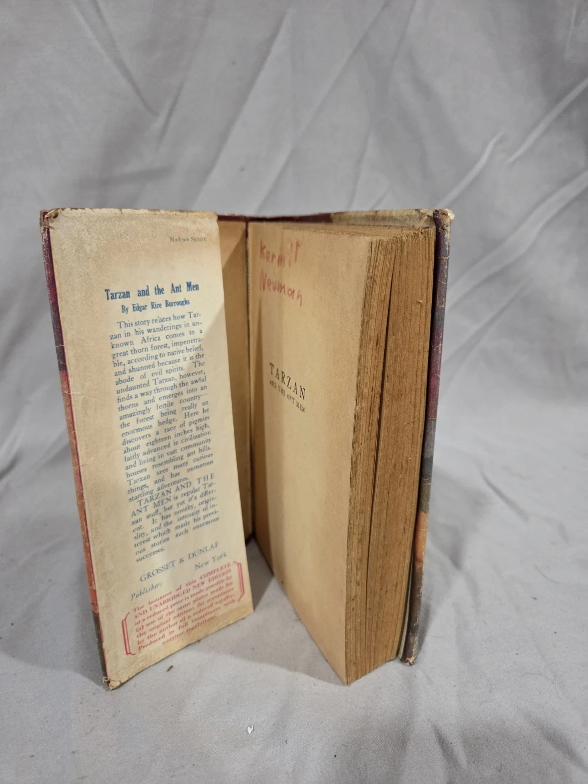 TARZAN AND THE ANT MEN EDGAR RICE BURROUGHS EARLY - photo 5