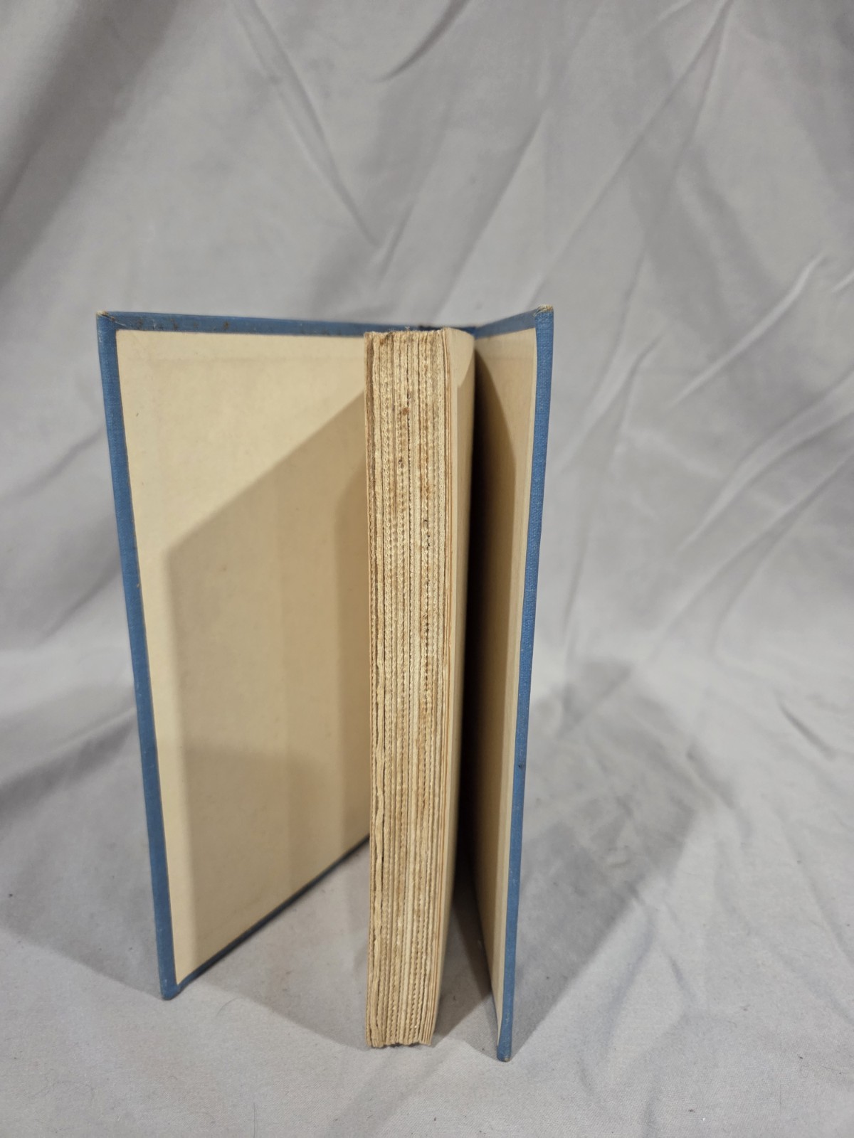 Vintage Hardcover The Beginning Was A Dutchman By Isla Mitchell - photo 3